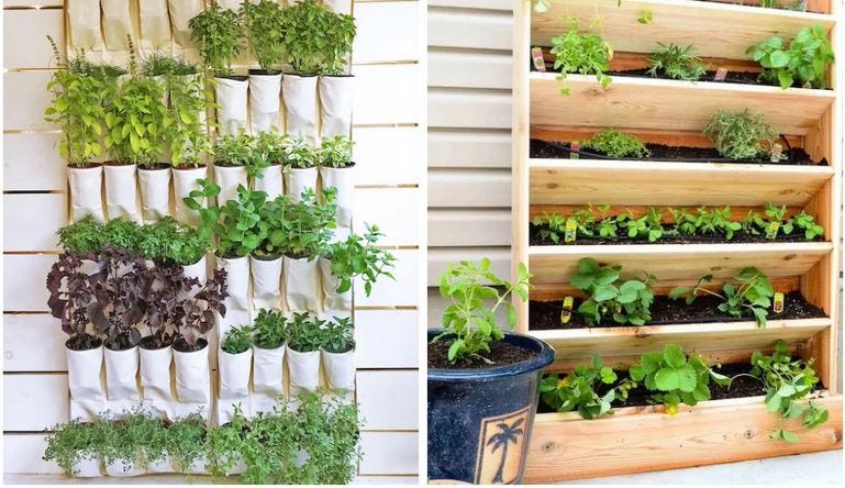 Diy vertical garden