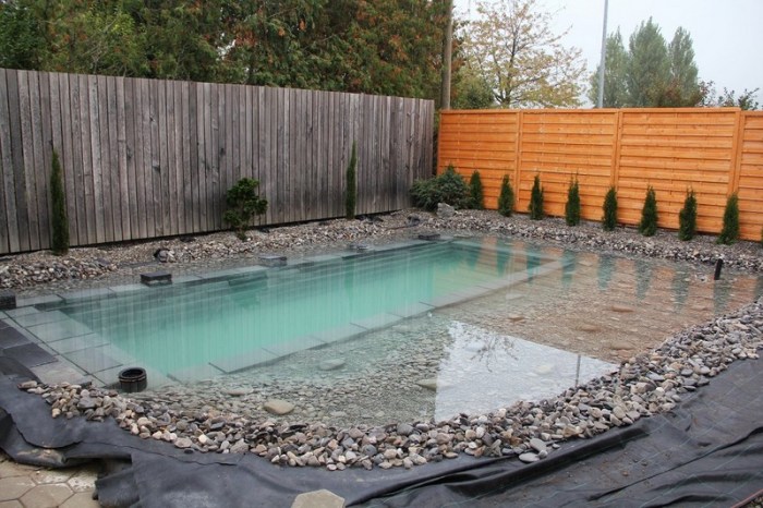 Diy natural swimming pond