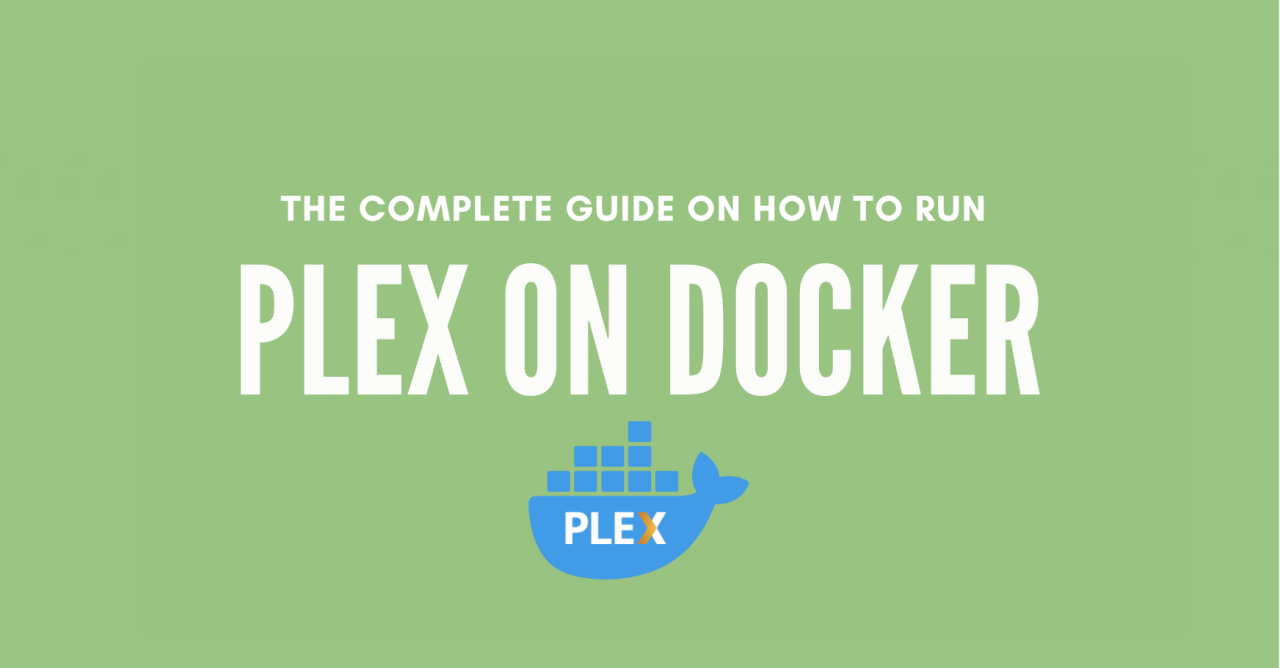 Plex docker