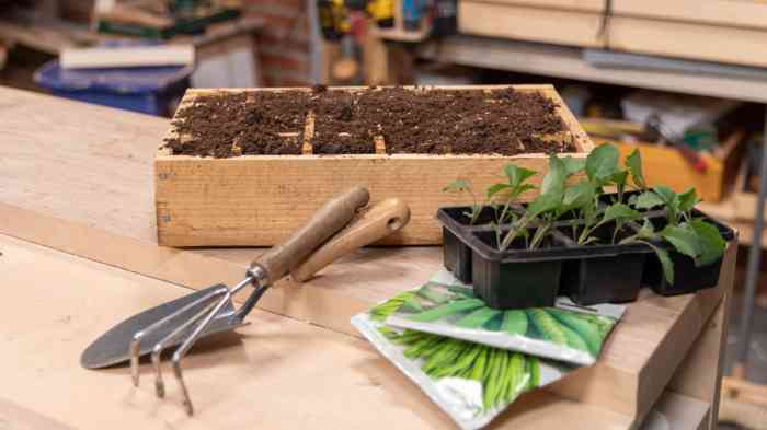 Diy seed starting trays