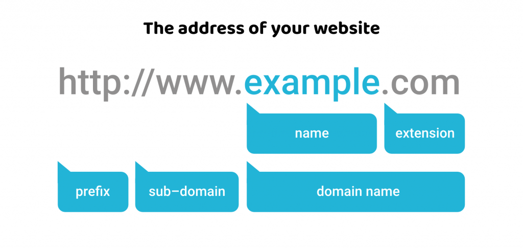 Domain web