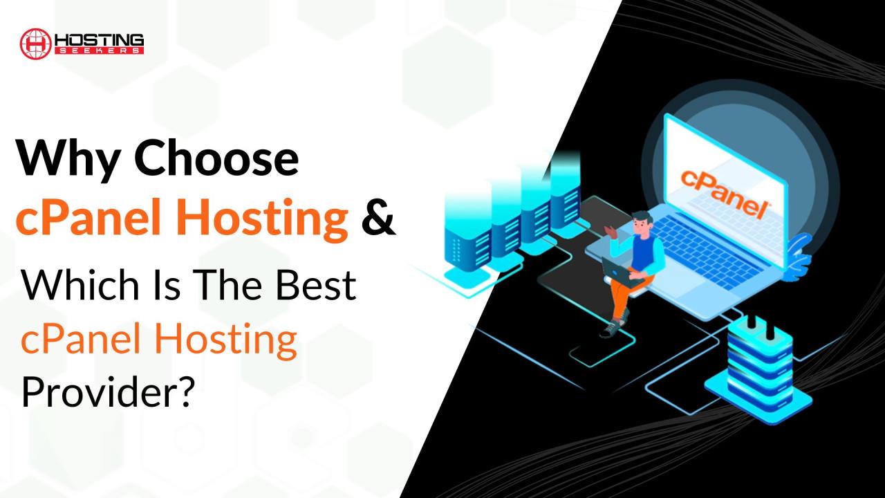 Cpanel hosting web panel control choose