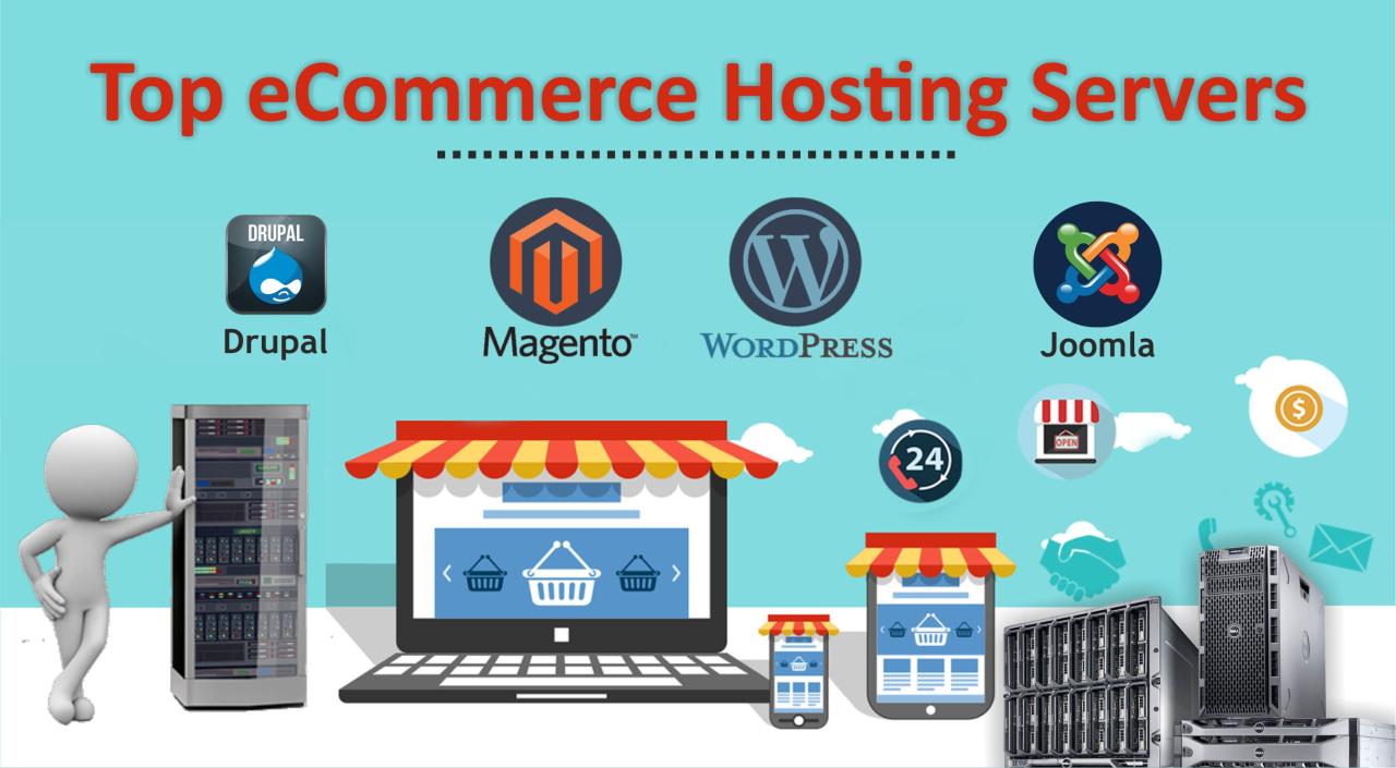 Hosting ecommerce provider which