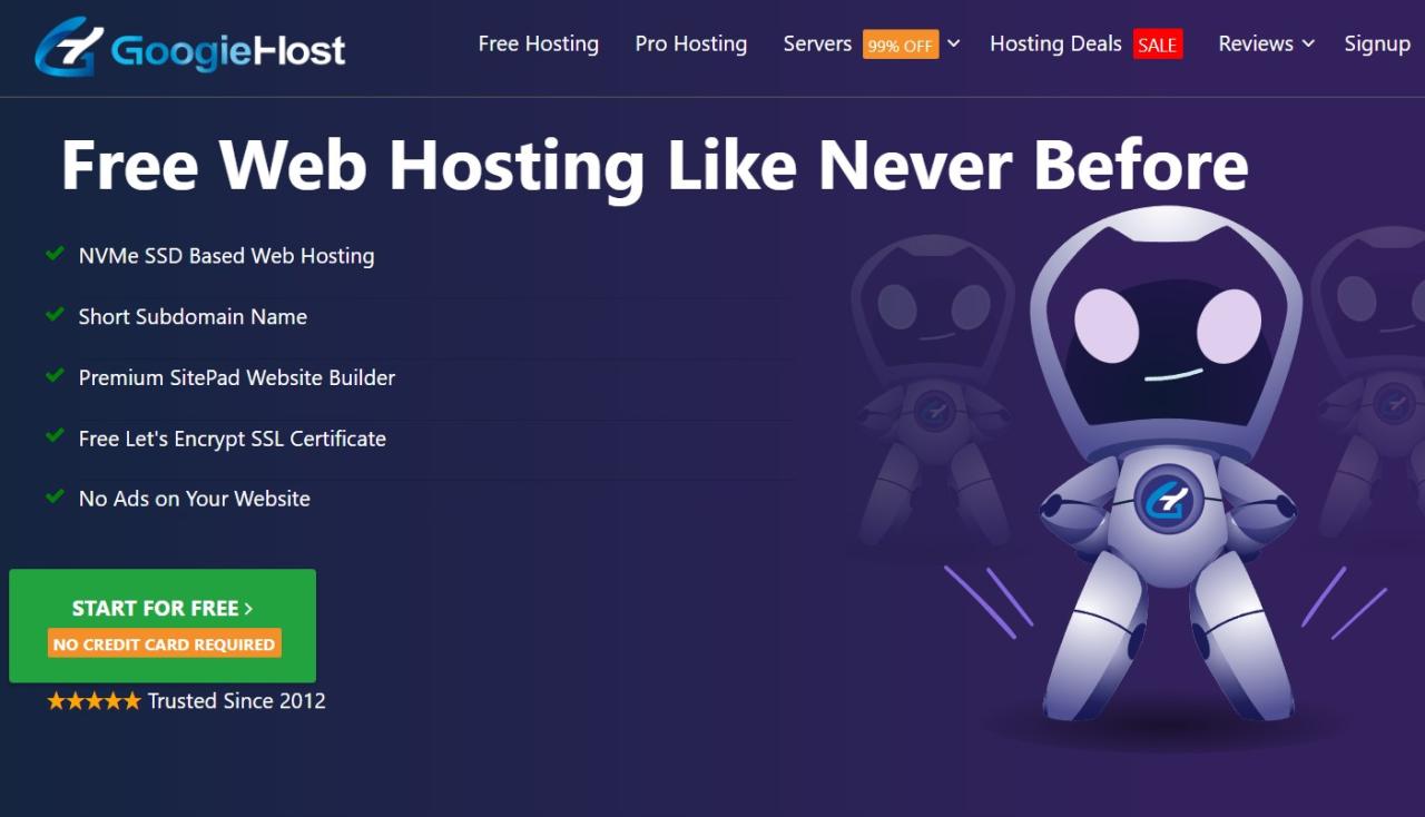 Top hosting sites