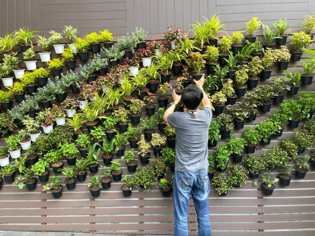 Diy vertical garden