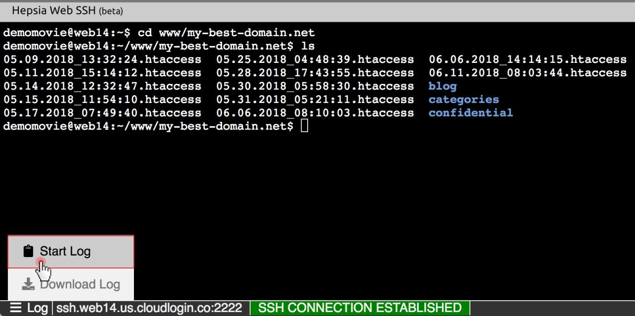 Web based ssh