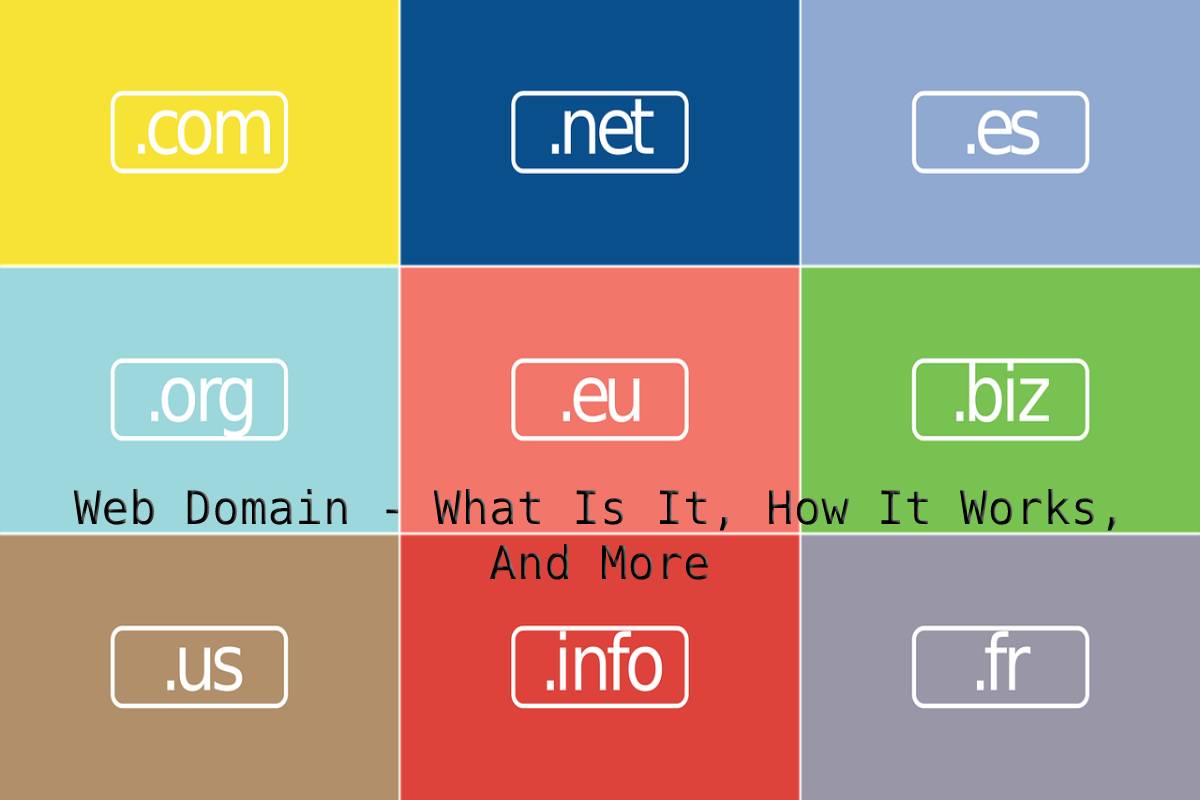 Domain web